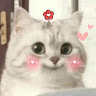 林玄峰