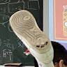 蔡羿楓