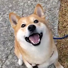 林以知