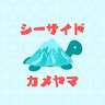 海邊的烏龜山