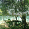 AAA