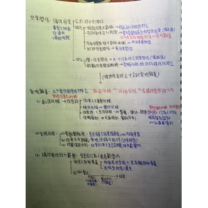 刑法因果關係整理