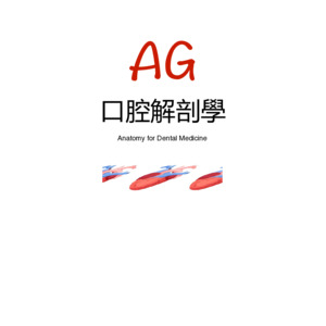 共筆.口腔解剖.肌肉