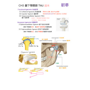 共筆.口腔解剖.顳下顎關節 TMJ