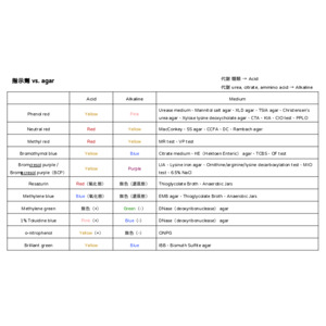 醫檢國考【微生物】指示劑&顏色變化 vs 各式agar&Test