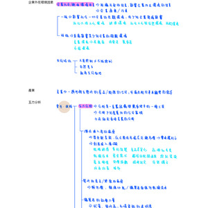 CH5企業營運的外在環境