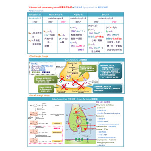 藥理04- Autonomic nervous