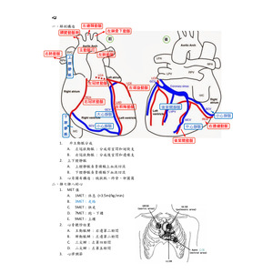 國考心肺的心 !