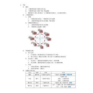 顳頷關節TMJ整理