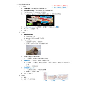 Special test-1周邊神經
