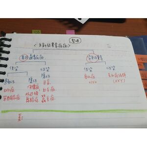 胎兒發展~新生兒異常疾病