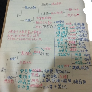 國中自然生殖器官