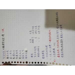 保安處分與釋憲