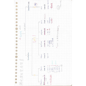 醫檢師國考_病毒