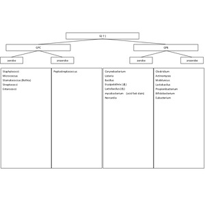 醫檢師國考_臨床微生物