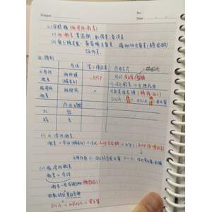 青少年生理發展之內分泌大全