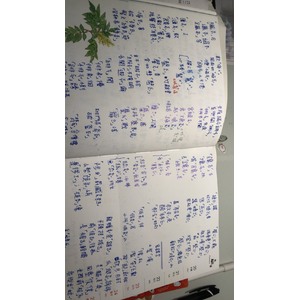 字音字型易錯字