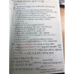 兒童發展 氣質與依附