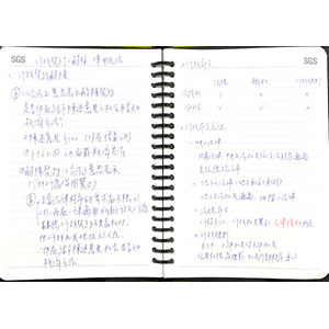 行政法行政命令 爭點模板筆記