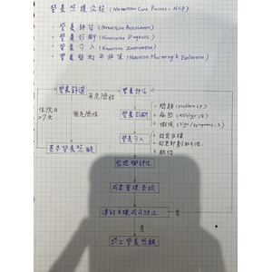 臨床-營養照護流程