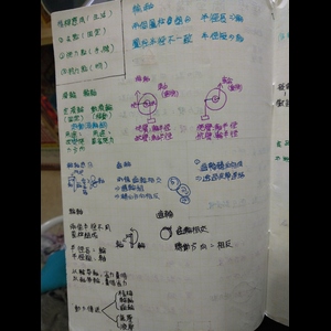 小六自然槓桿原理