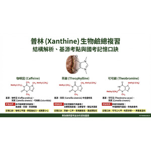 Xanthine生物鹼總複習結構解析、基源考點與國考記憶口訣