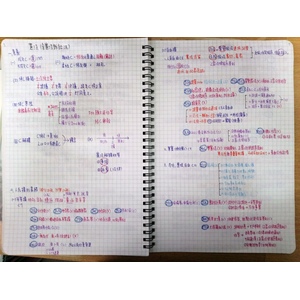 憲法平等權自由權相關釋字