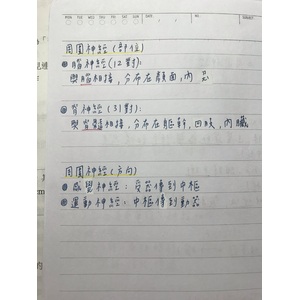 生物—神經系統