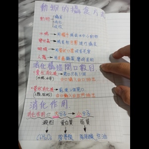 國一生物第二次