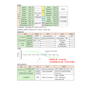 臨床生物化學 醫檢師國考