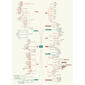 臨床微生物分類 細菌分類