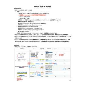 獸醫藥理學 黴菌 & 抗霉菌藥統整