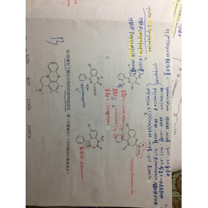 Gramicidine,Bacitacine,polymycin B,polymycinC比較