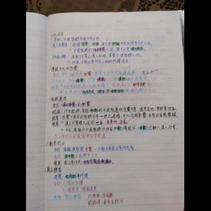 原住民的社會文化變遷