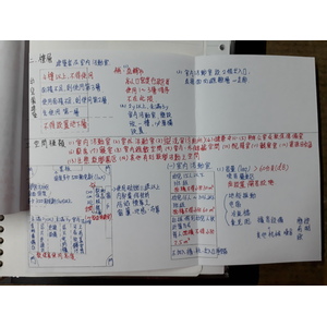 幼兒園環境與設備筆記彙整