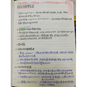 皮亞傑的認知發展理論