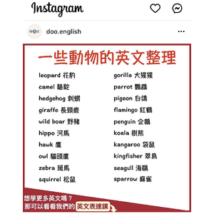 doo.English 英文整理截圖