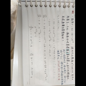 完全獨占市場計算