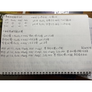 動脈血液氣體分析