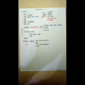 【國小教甄】教育研究法、教育統計