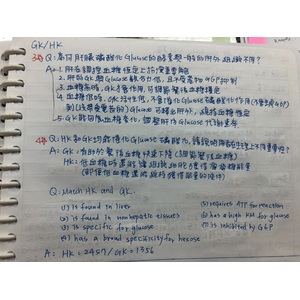 Glucokinase Hexokinase