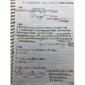 2,3-Bisphosphoglycerate