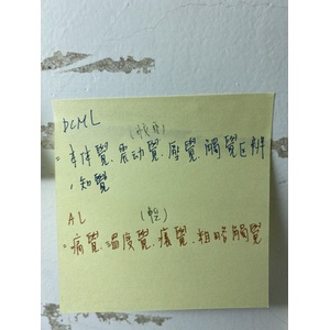 感覺路徑 DCML AL