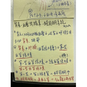 腎素 血管加壓素 醛固酮系統 RAA