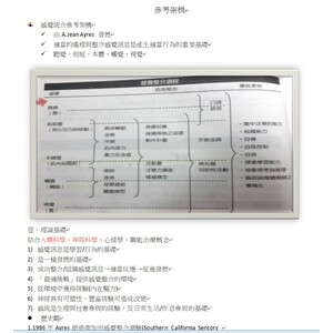 感覺統合參考架構