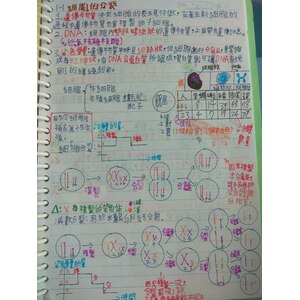 1下第一次段考第一章