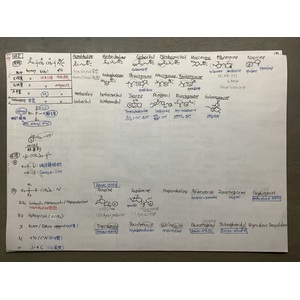 副交感神經用藥