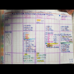 行政學，電子化政府進化史