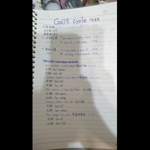 步態週期雙腳的位置