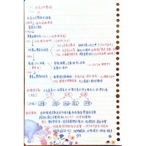 社會工作管理的發展